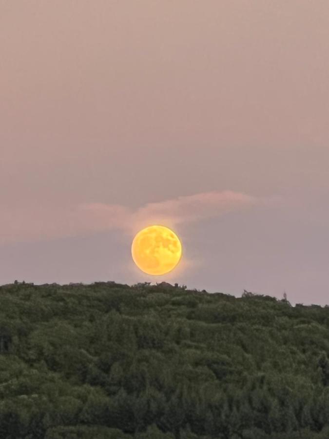 Les Granges De L'Eblouaz Bed & Breakfast Saint-Rambert-en-Bugey Dış mekan fotoğraf